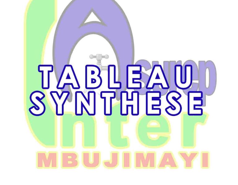 R2-2019 Tableau synthèse situation financière